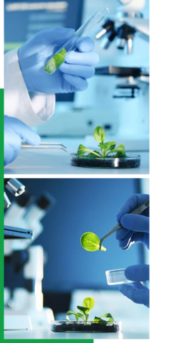 創(chuàng)新驅(qū)動(dòng)，智領(lǐng)未來(lái)——我們的企業(yè)簡(jiǎn)介